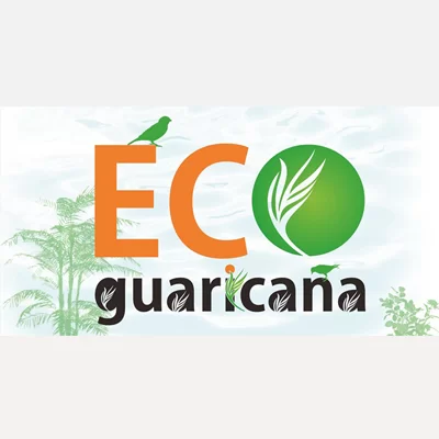 grande-reserva-mata-atlantica-maior-continuo-bem-conservado-de-mata-atlantica-do-planeta-29-nossos-parceiros-eco-guaricana