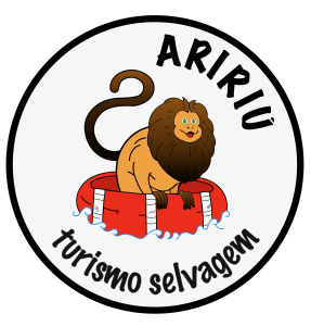 Grande Reserva Mata Atlantica_Aririú Turismo Selvagem