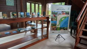 Grande Reserva Mata Atlantica - Centro de Informacao - Reserva Natural Guaricica