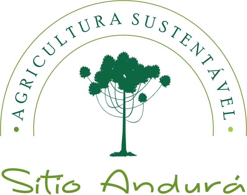 LOGO SITIO ANDURÁ PNG 02 - Daniel Martinez